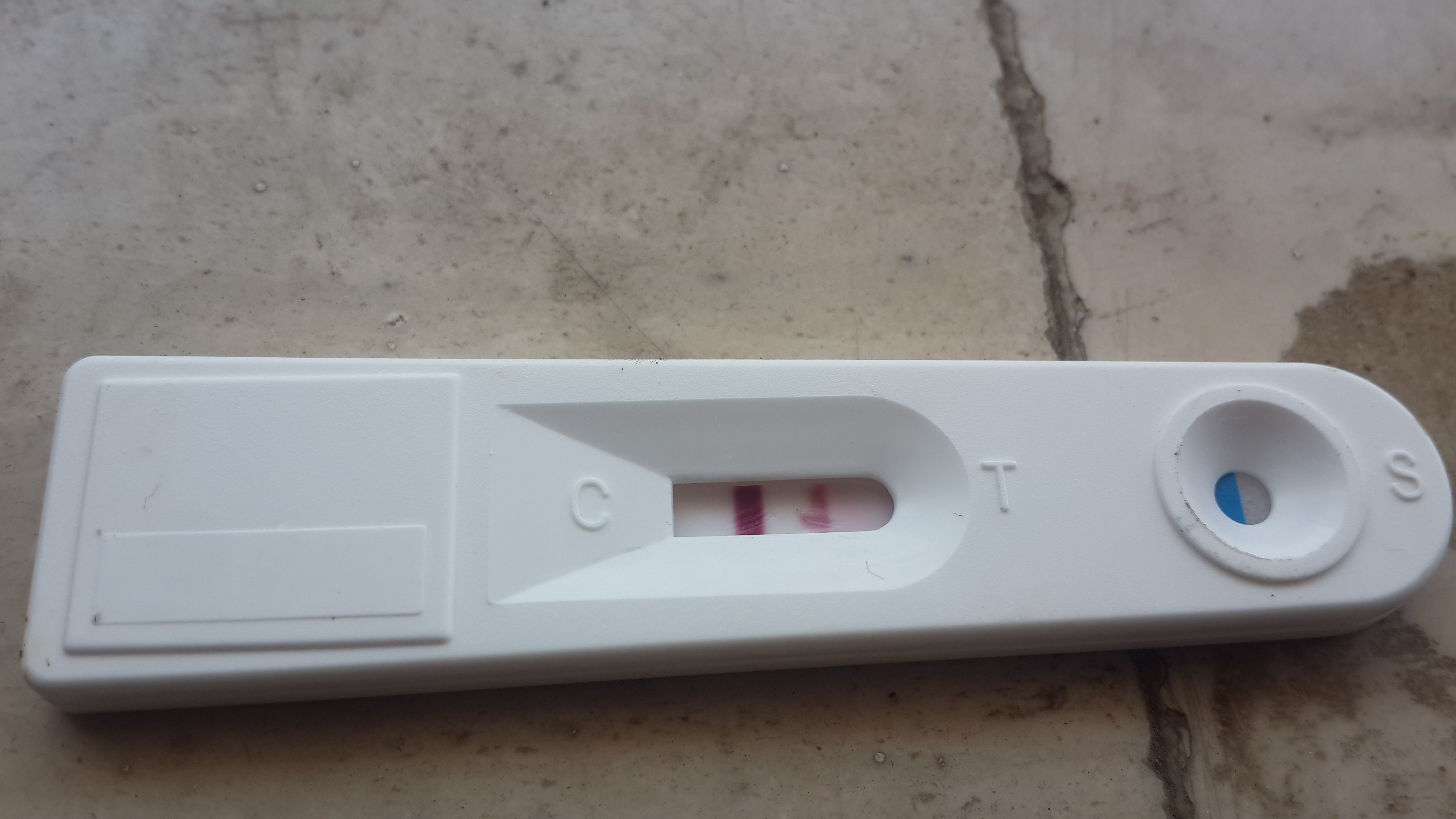 الحمل المنزلي خط واضح شفاف تحليل وخط تحليل الحمل